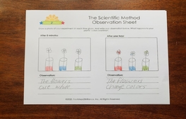 family friday scientific method